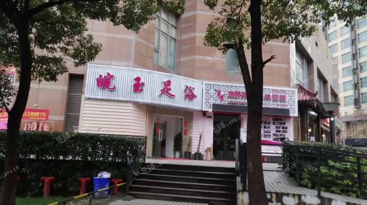 金桥，金桥什么价格