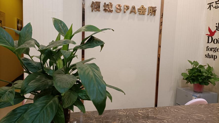 倾城会所，倾城会所店